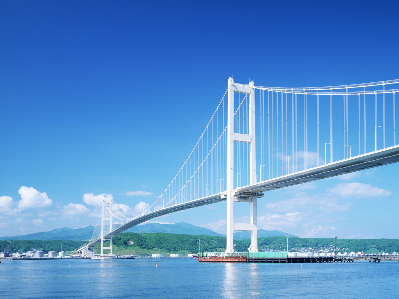 文明礼仪校园文明从我做起